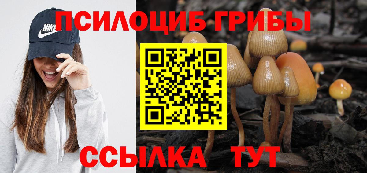 Галлюциногенные грибы Psilocybine cubensis Нурлат